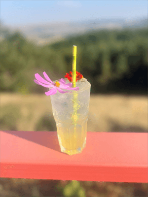 Lemonade "Turbo"