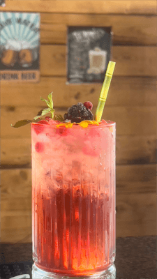 House Berry Lemonade